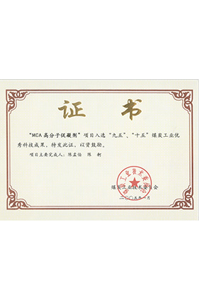 2005年1月MCA高分子促凝劑獲“九五、十五”科技成果獎(jiǎng)
